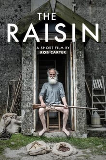 Poster do filme The Raisin