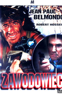 Zawodowiec