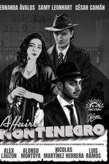 Affaire Montenegro