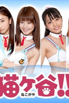 熱波が猫の穀