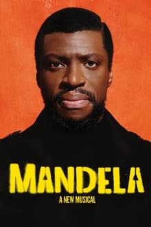 Poster do filme Mandela