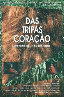 Poster do filme Twin Flames