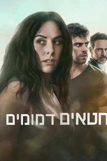חטאים דמומים