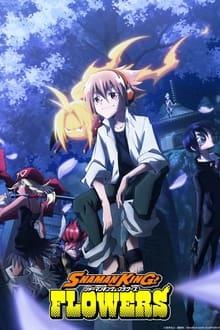 Poster da série Shaman King Flowers