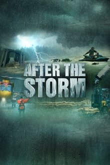 After the Storm After the Storm