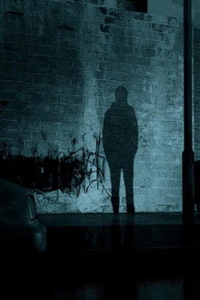 Shadow
