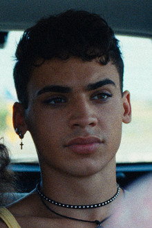 Lobo e Cão