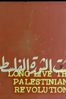 مشاهد من الاحتلال في غزة