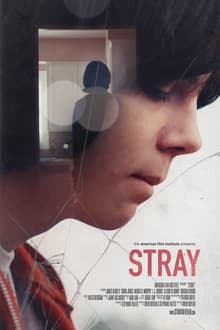 Poster do filme Stray