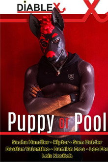 Puppy or Pool
