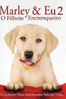 Poster do filme Marley & Me: The Puppy Years