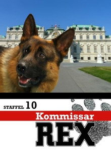 Sæson 10