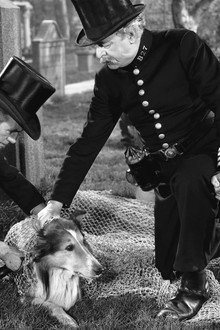 Challenge to Lassie