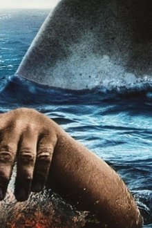 The-Reef