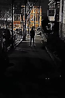 followed.mp4