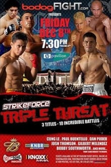 Poster do filme Strikeforce: Triple Threat