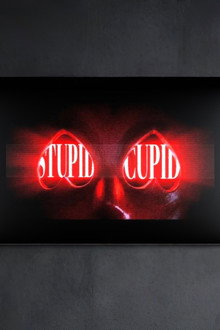STUPID CUPID