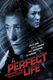 Poster do filme A Perfect Life