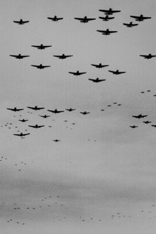 Clash of Wings