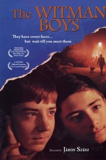 Poster do filme The Witman Boys