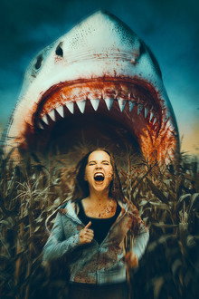 Sharks of the Corn