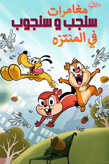 مغامرات سنجب و سنجوب في المنتزه