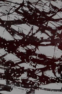 Hydrophone Butterfly