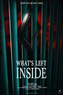 Poster do filme What's Left Inside