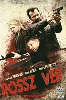 Rossz vér