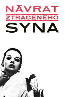 Návrat ztraceného syna