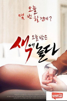 색에 놀다
