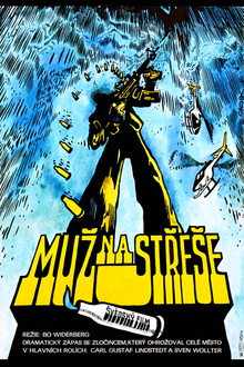 Muž na střeše