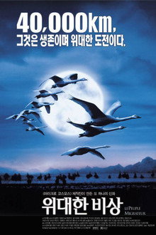 위대한 비상
