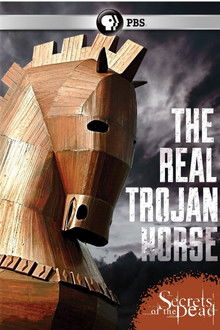 The Real Trojan Horse 2015