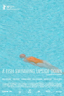 A Fish Swimming Upside Down