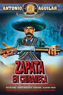 Poster do filme Zapata en Chinameca