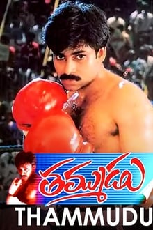 Poster do filme Thammudu