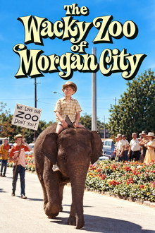 The Wacky Zoo of Morgan City
