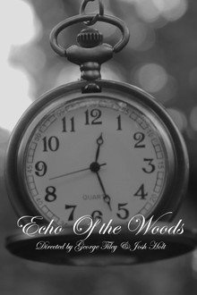 Echo of The Woods