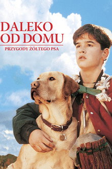 Daleko od domu: Przygody żółtego psa