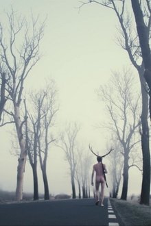 Deer-Boy