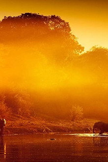 Zambezi: Force of Life