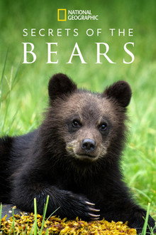Secrets of the Bears
