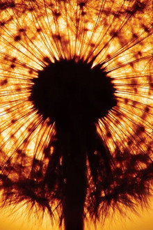 Am Anfang war das Licht