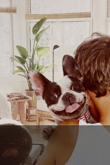 Pets