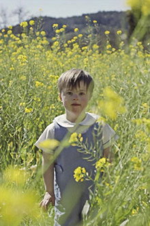 So Much Yellow