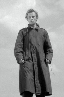Чайки умирают в гавани