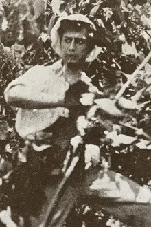 Гриф старого борца