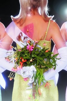 Drop-Dead-Gorgeous