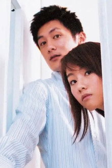 百分百感覺2003
